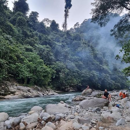 Lucky Bamboo'Bungalows-Resto And Orangutan Jungle Trekking Tours ブキットラワン エクステリア 写真