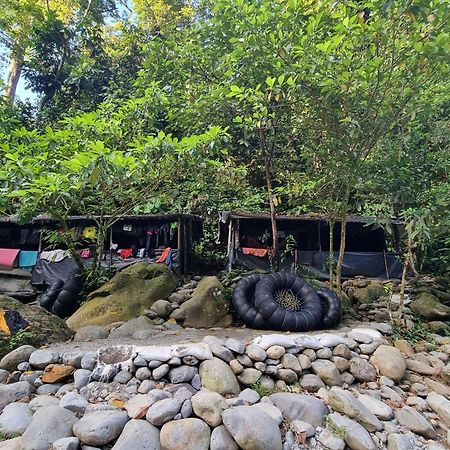 Lucky Bamboo'Bungalows-Resto And Orangutan Jungle Trekking Tours ブキットラワン エクステリア 写真