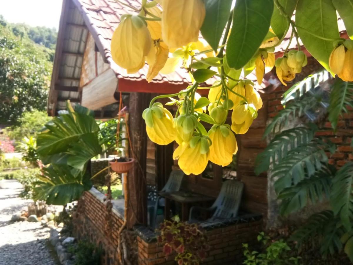 Lucky Bamboo'Bungalows-Resto And Orangutan Jungle Trekking Tours ブキットラワン エクステリア 写真