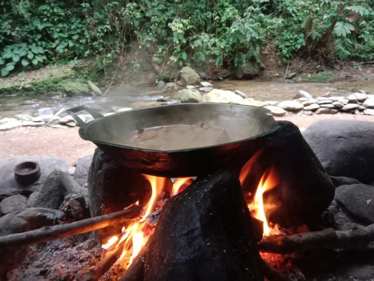 Lucky Bamboo'Bungalows-Resto And Orangutan Jungle Trekking Tours ブキットラワン エクステリア 写真