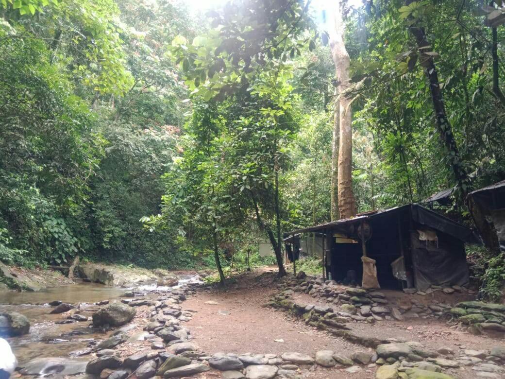 Lucky Bamboo'Bungalows-Resto And Orangutan Jungle Trekking Tours ブキットラワン エクステリア 写真
