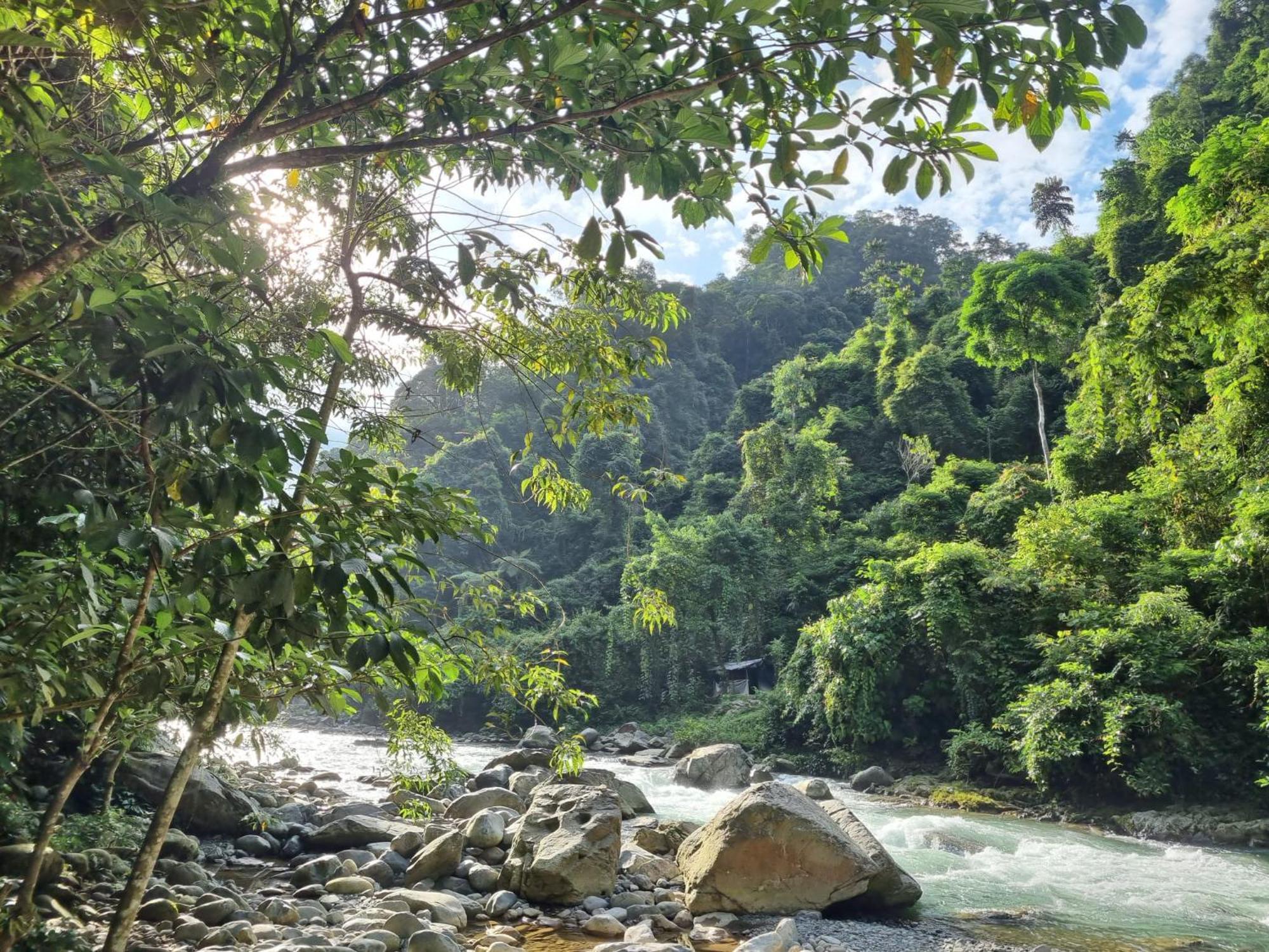 Lucky Bamboo'Bungalows-Resto And Orangutan Jungle Trekking Tours ブキットラワン エクステリア 写真