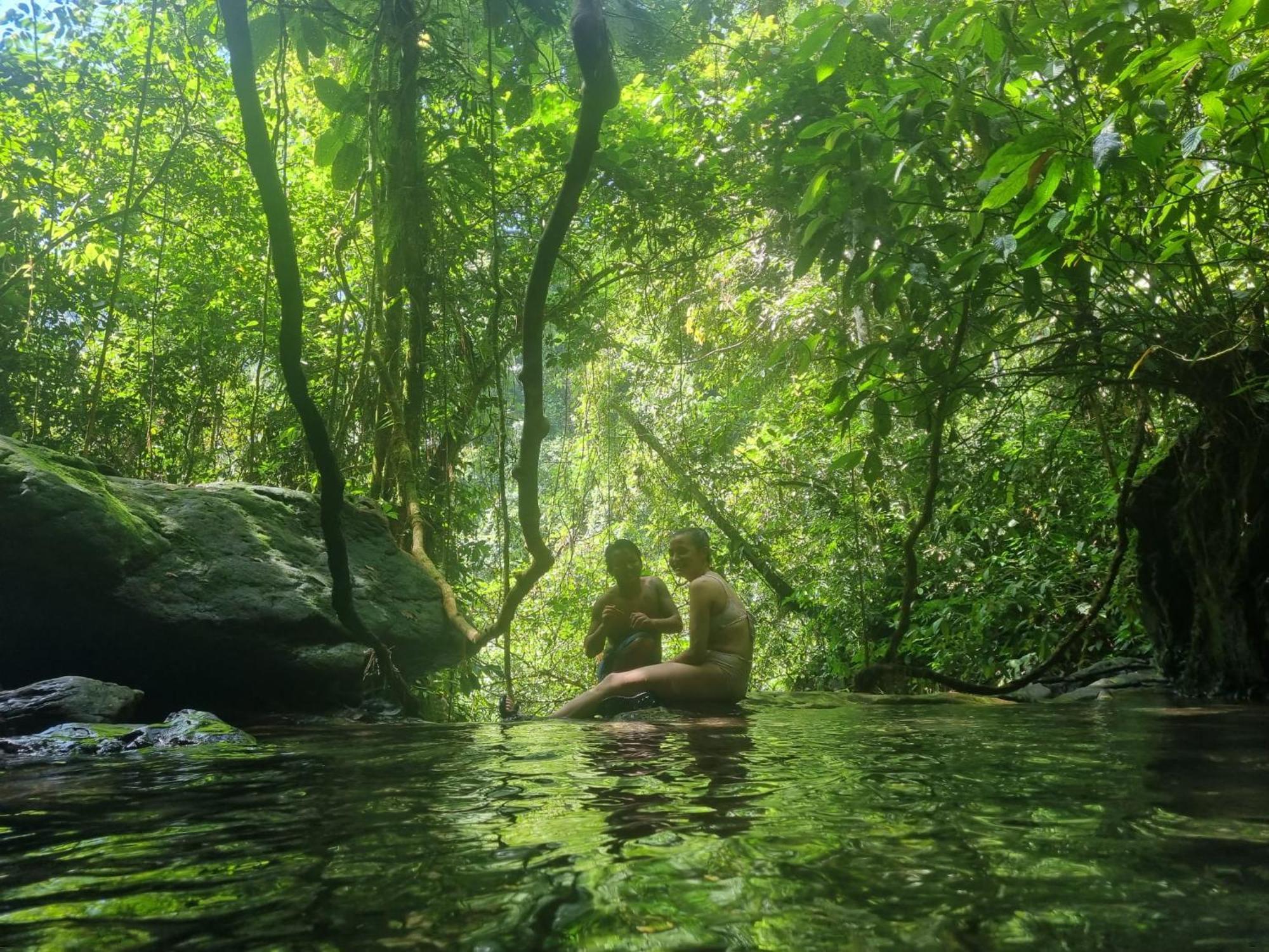 Lucky Bamboo'Bungalows-Resto And Orangutan Jungle Trekking Tours ブキットラワン エクステリア 写真
