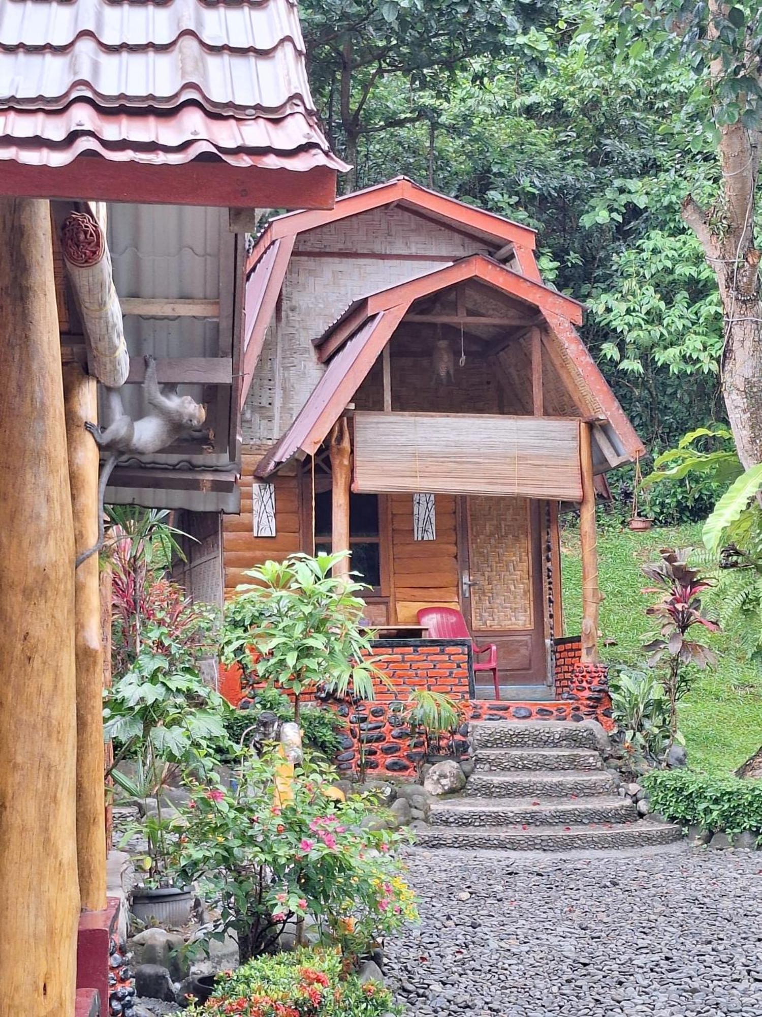 Lucky Bamboo'Bungalows-Resto And Orangutan Jungle Trekking Tours ブキットラワン エクステリア 写真